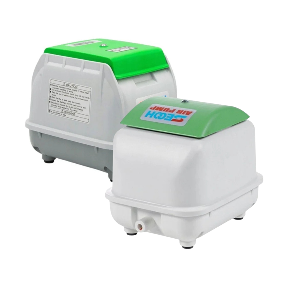 Secoh orapūtės paveikslėlis