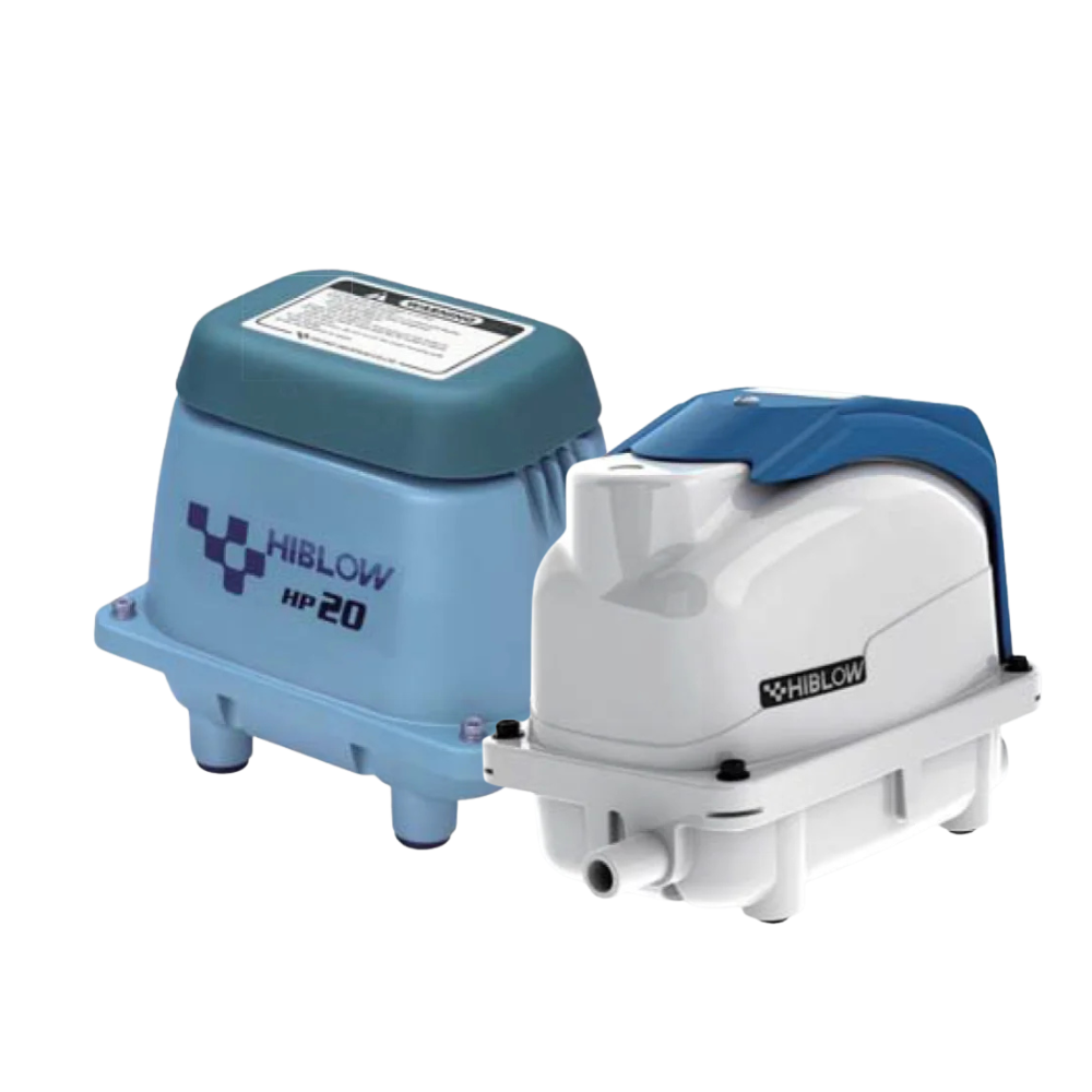 Hiblow orapūtės paveikslėlis